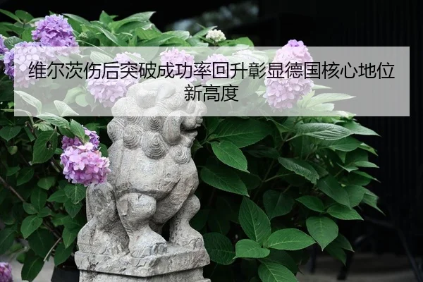 维尔茨伤后突破成功率回升彰显德国核心地位新高度